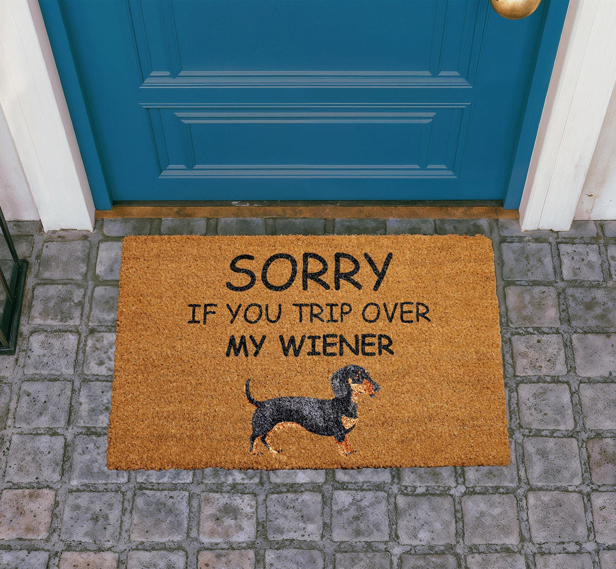 Funny Dachshund Doormat, Wiener Dog Welcome Mat, Pet Lover Rug