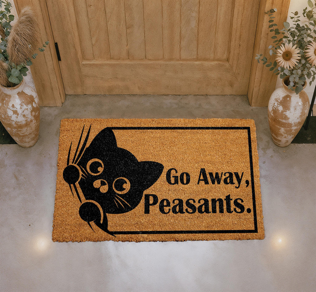 Funny Cat Doormat, Sarcastic Welcome Mat, Coir Outdoor Rug (18"x30")