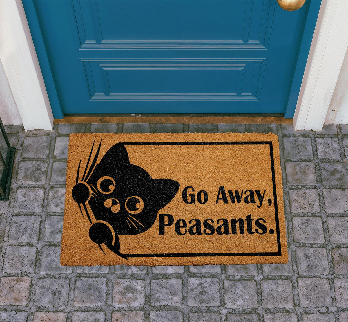 Funny Cat Doormat, Sarcastic Welcome Mat, Coir Outdoor Rug (18"x30")