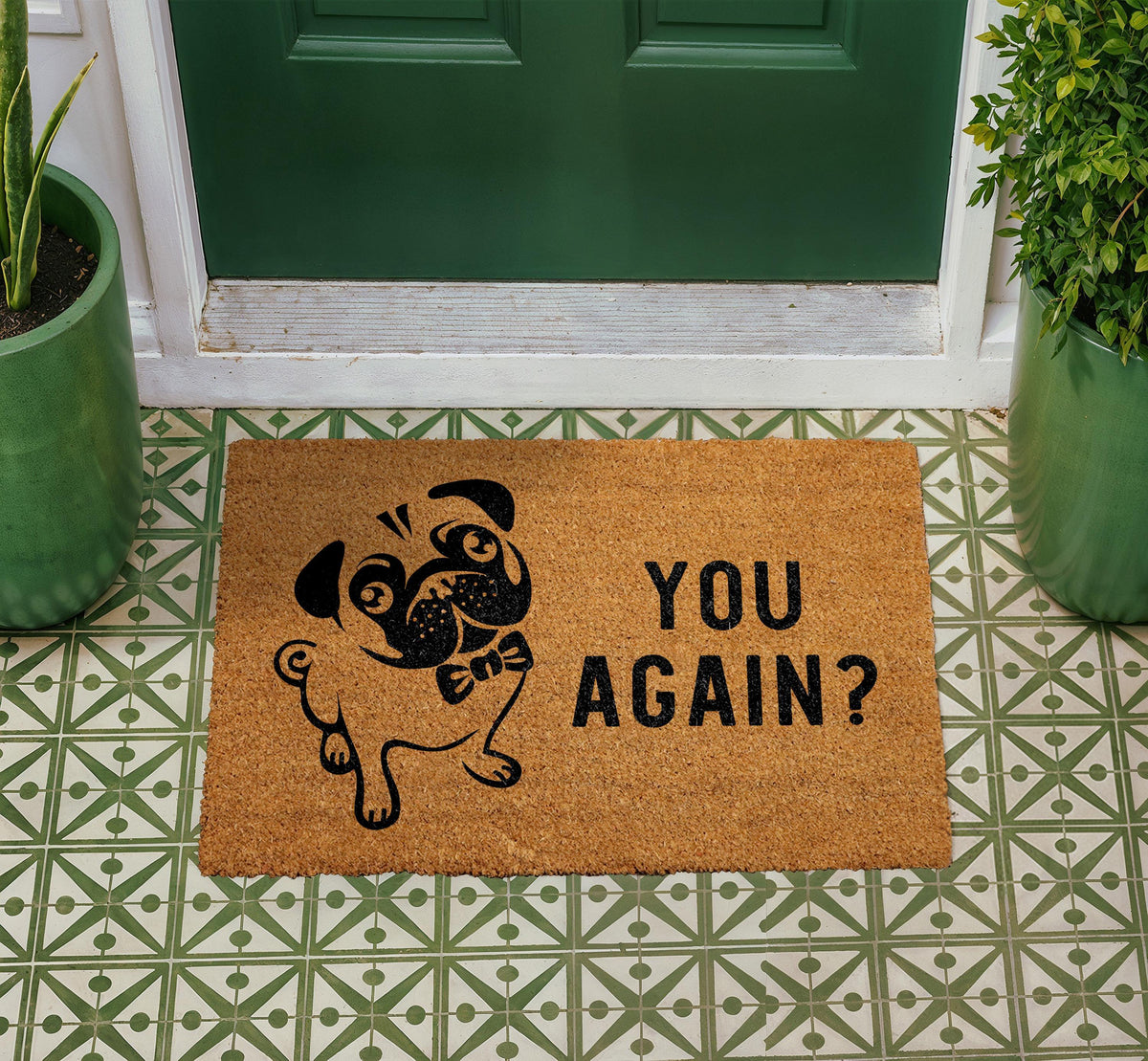 Funny Cat Doormat, "Oh no. Not you again." Welcome Mat, Coir Home Decor