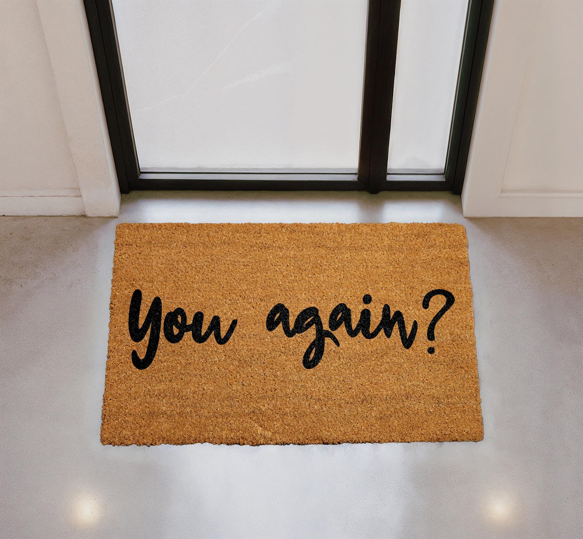 Funny Cat Doormat, "Oh no. Not you again." Welcome Mat, Coir Home Decor