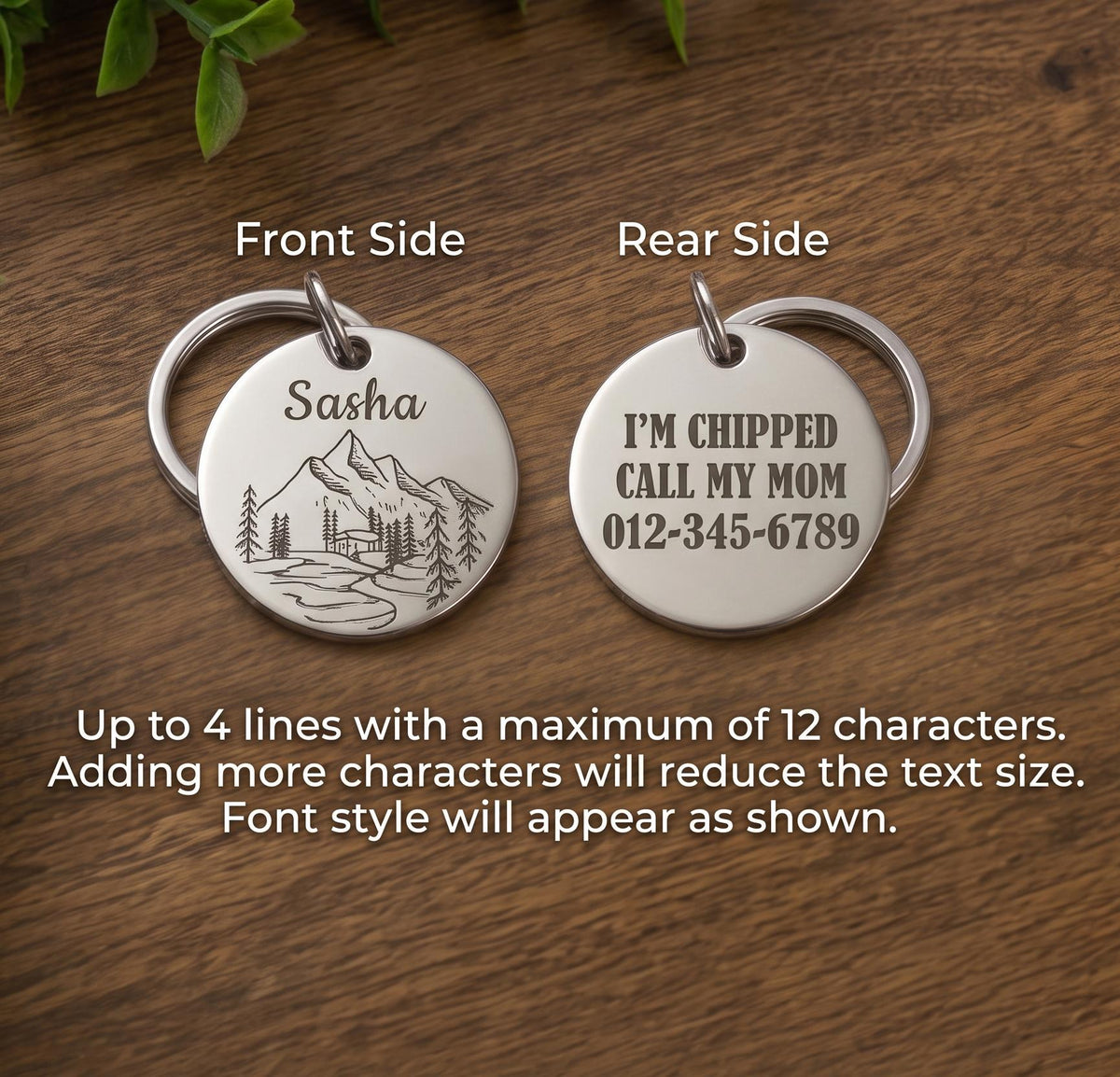 Personalized Stainless Steel Pet ID Tag, Engraved Dog Cat Collar Charm