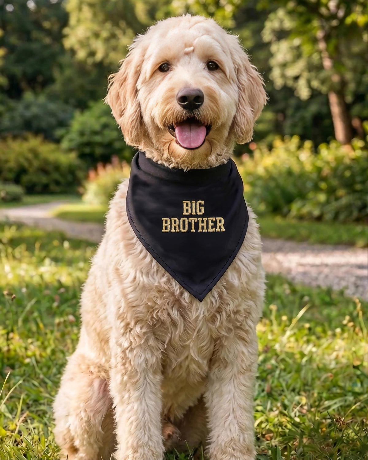 Embroidered Big Brother Dog Bandana, Pregnancy Announcement Bandana, Custom Dog Scarf, Dog Owner Gift, Dog Mom Gift