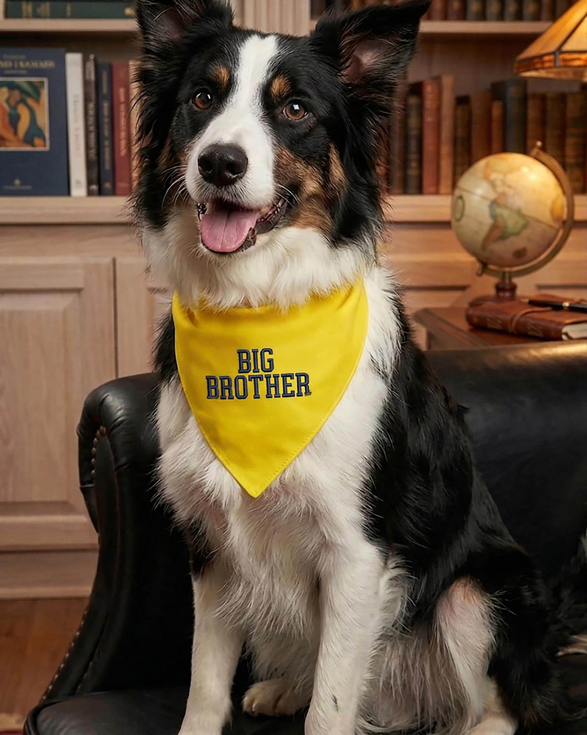Embroidered Big Brother Dog Bandana, Pregnancy Announcement Bandana, Custom Dog Scarf, Dog Owner Gift, Dog Mom Gift