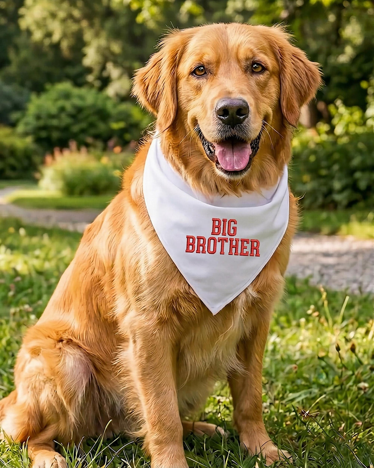 Embroidered Big Brother Dog Bandana, Pregnancy Announcement Bandana, Custom Dog Scarf, Dog Owner Gift, Dog Mom Gift