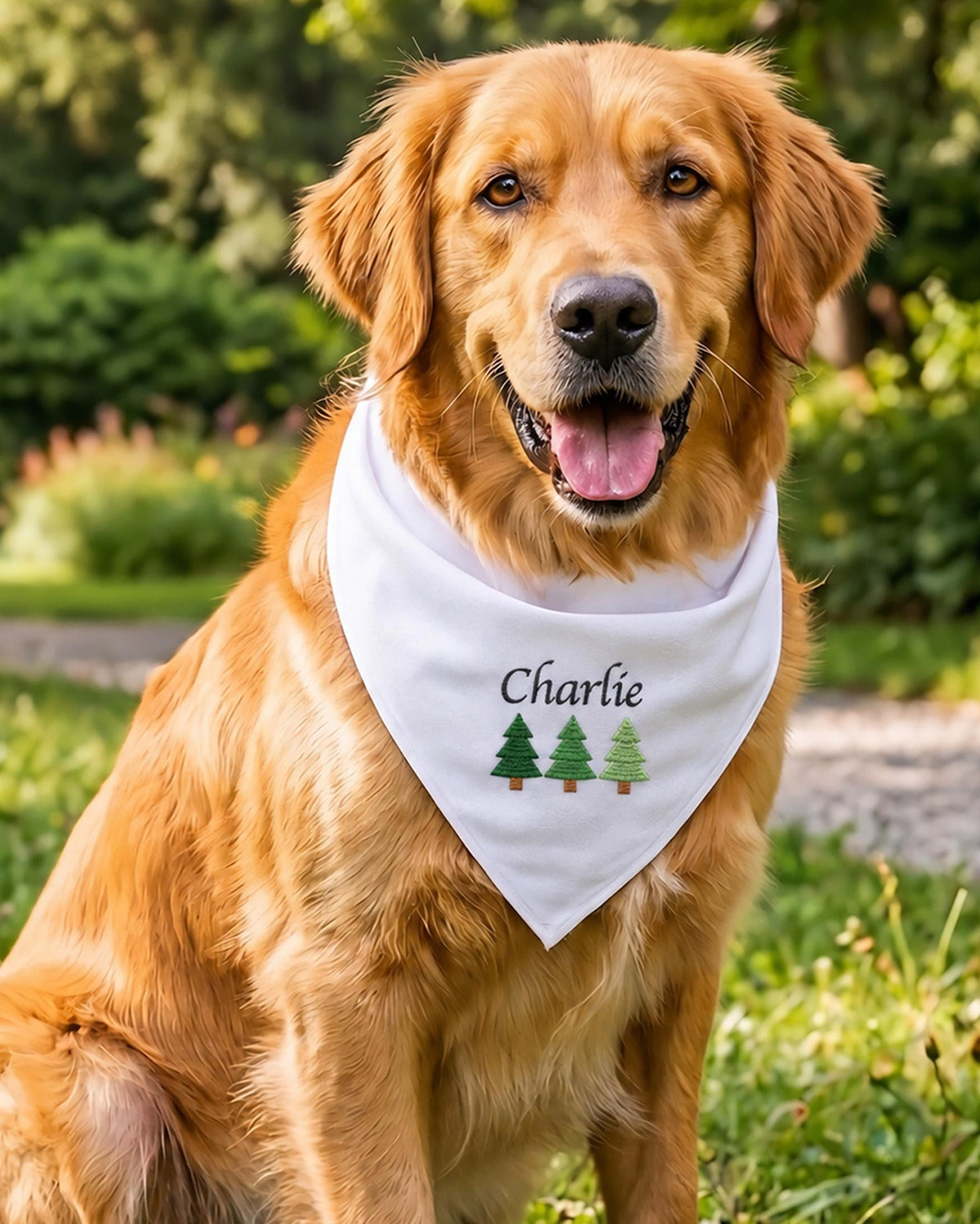 Embroidered Custom Christmas Dog Bandana with Name, Personalized Pet Gift