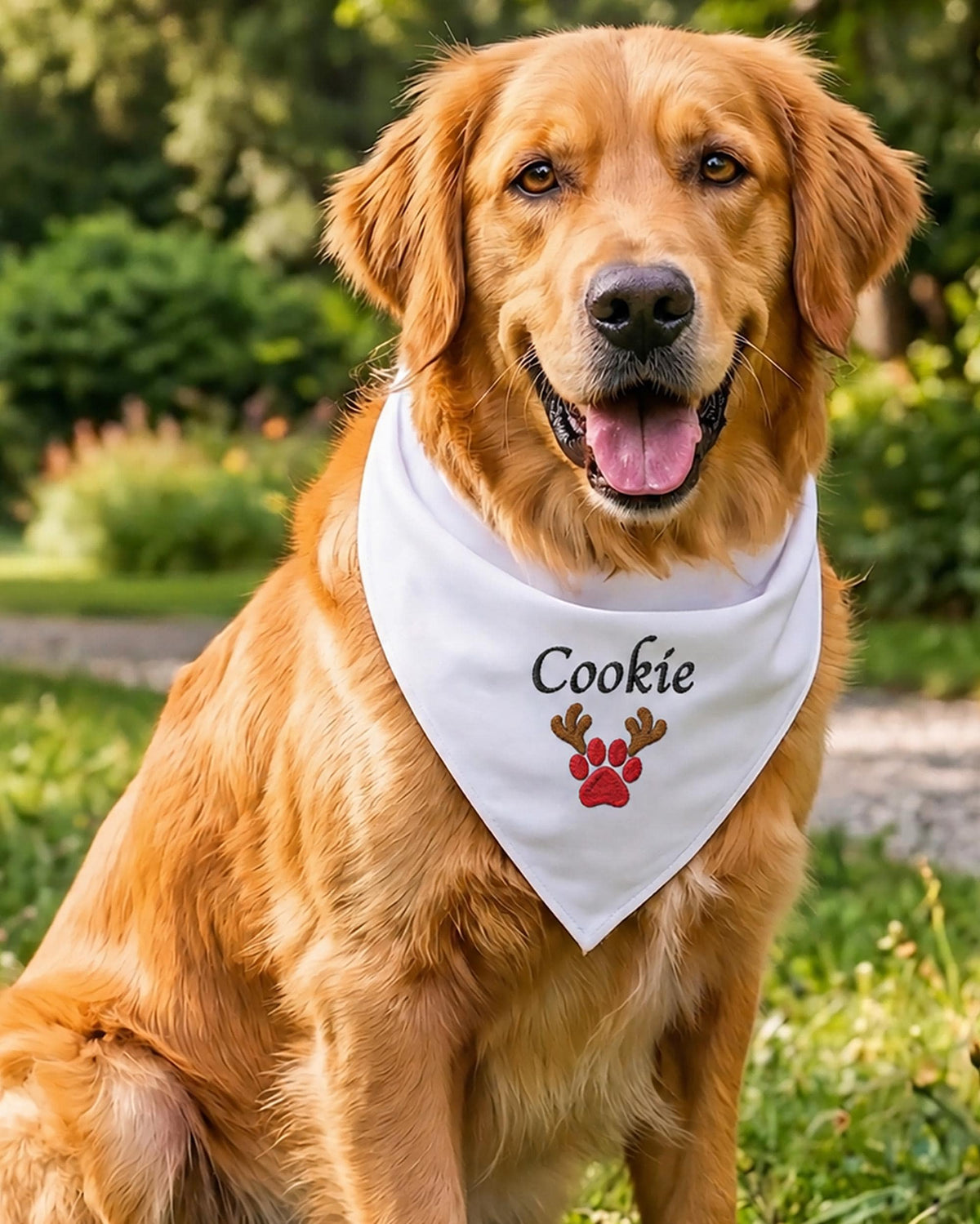 Embroidered Custom Christmas Dog Bandana with Name, Personalized Pet Gift