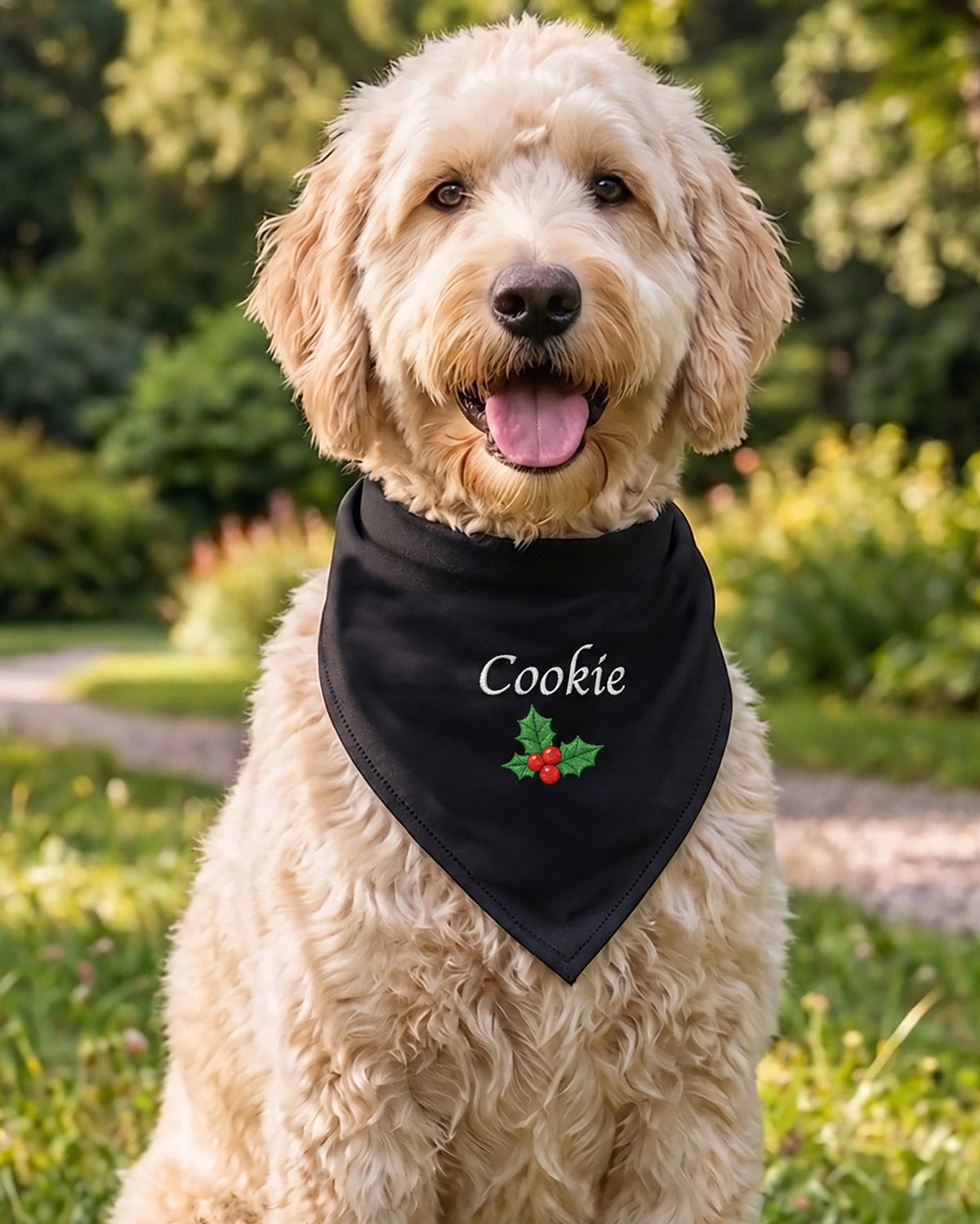 Embroidered Custom Christmas Dog Bandana with Name, Personalized Pet Gift